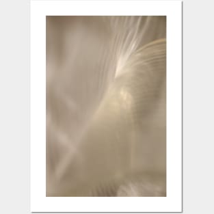 Lumina White Spirit - ethereal beige, khaki and ivory abstract concept art photograph Posters and Art